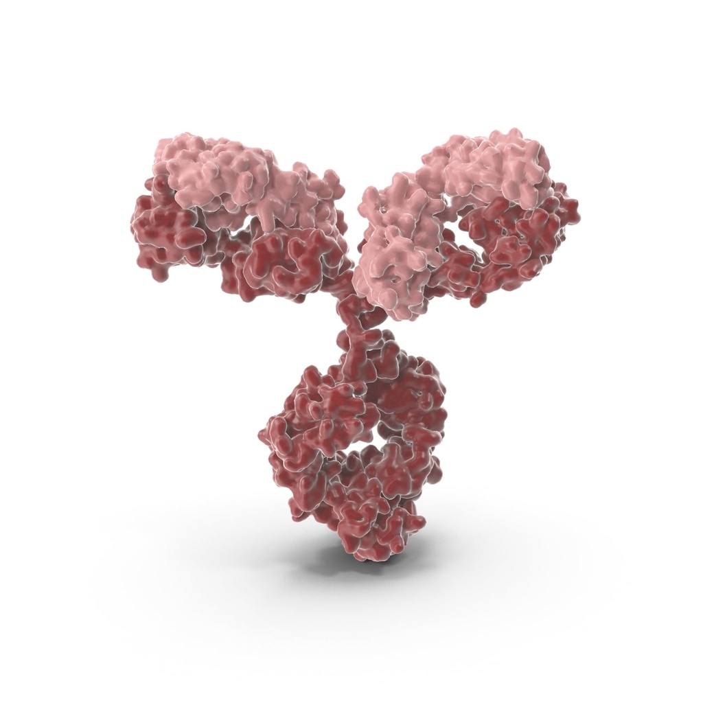 ? hydroxybutyryl HIST1H3A (K27) Antibody   