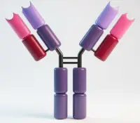 1,25 OH)2 Vitamin D3 Antibody