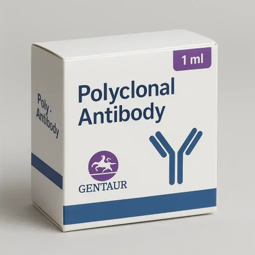 (KO Validated) LITAF Polyclonal Antibody