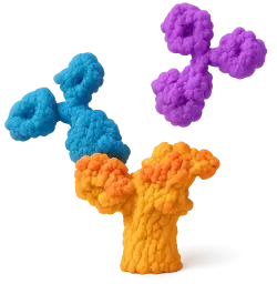  594 Rabbit anti-Human CD200R mAb (100 T)