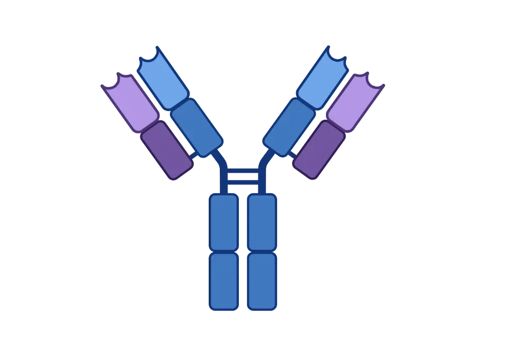 [CSB-0995] ALDOA Antibody  Biotin conjugated   