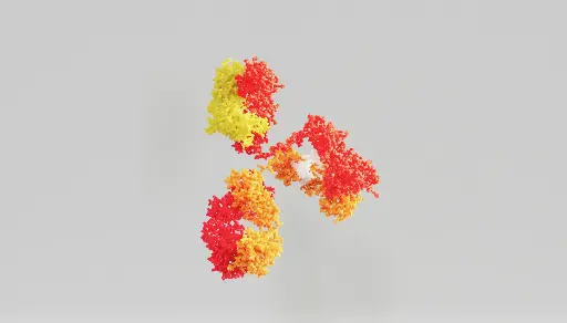[GEN-ANTI-11] Gentaur ATTO 594 Antibody