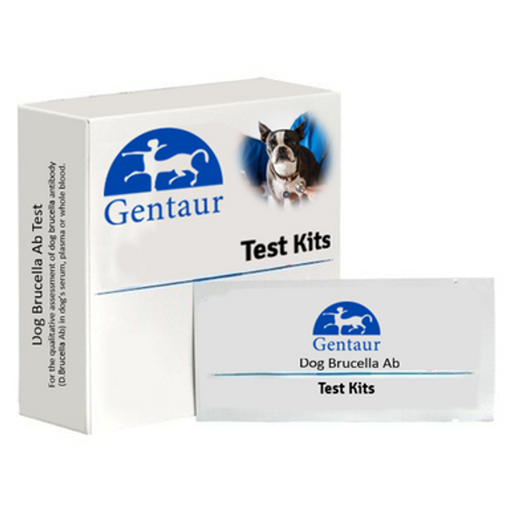 [GENTAUR] Rapid Canine Brucella Ab Kit