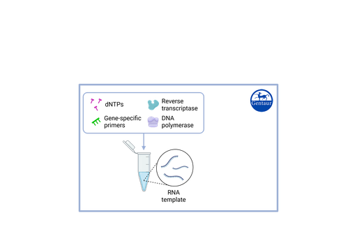 [IPH21506] RT PCR Test Kits