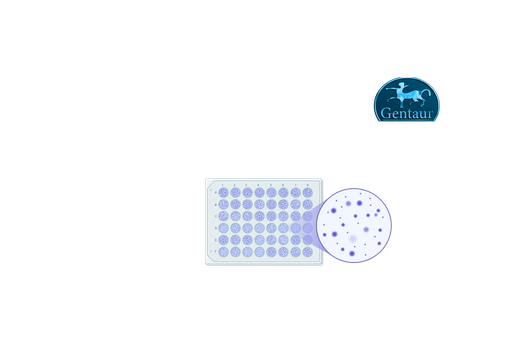 [ACE2-​RBDNEUTR.CE] ELISA Kits ACE2-RBD Neutralization Assay 