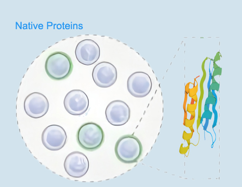 [ADY-685] Native FSH Protein