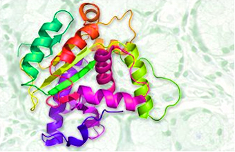 [AMY-5335] Recombinant HDL Protein