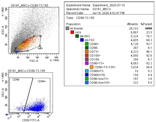 [GEN300644MA] Human Mesenchymal Stem Cells - Amnion