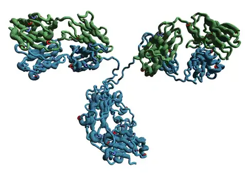 [MBL-M082-4-sf] Rat IgG2c (isotype control)-FITC (Clone: 6E12)